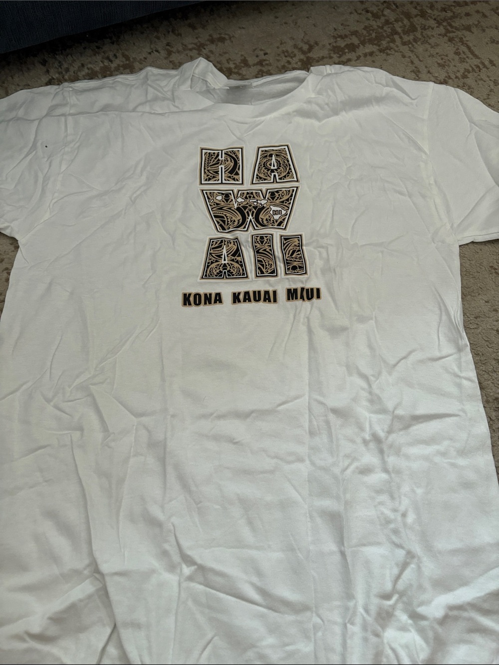 Hanes White Short‑Sleeve Tee with Black and Brown Island Graphic